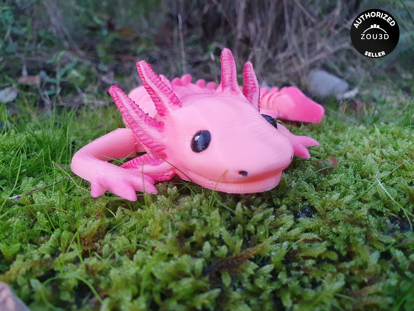 Cute Adult Axolotl - Articulated Flexible 3D Print. Professionally Hand painted finishing details