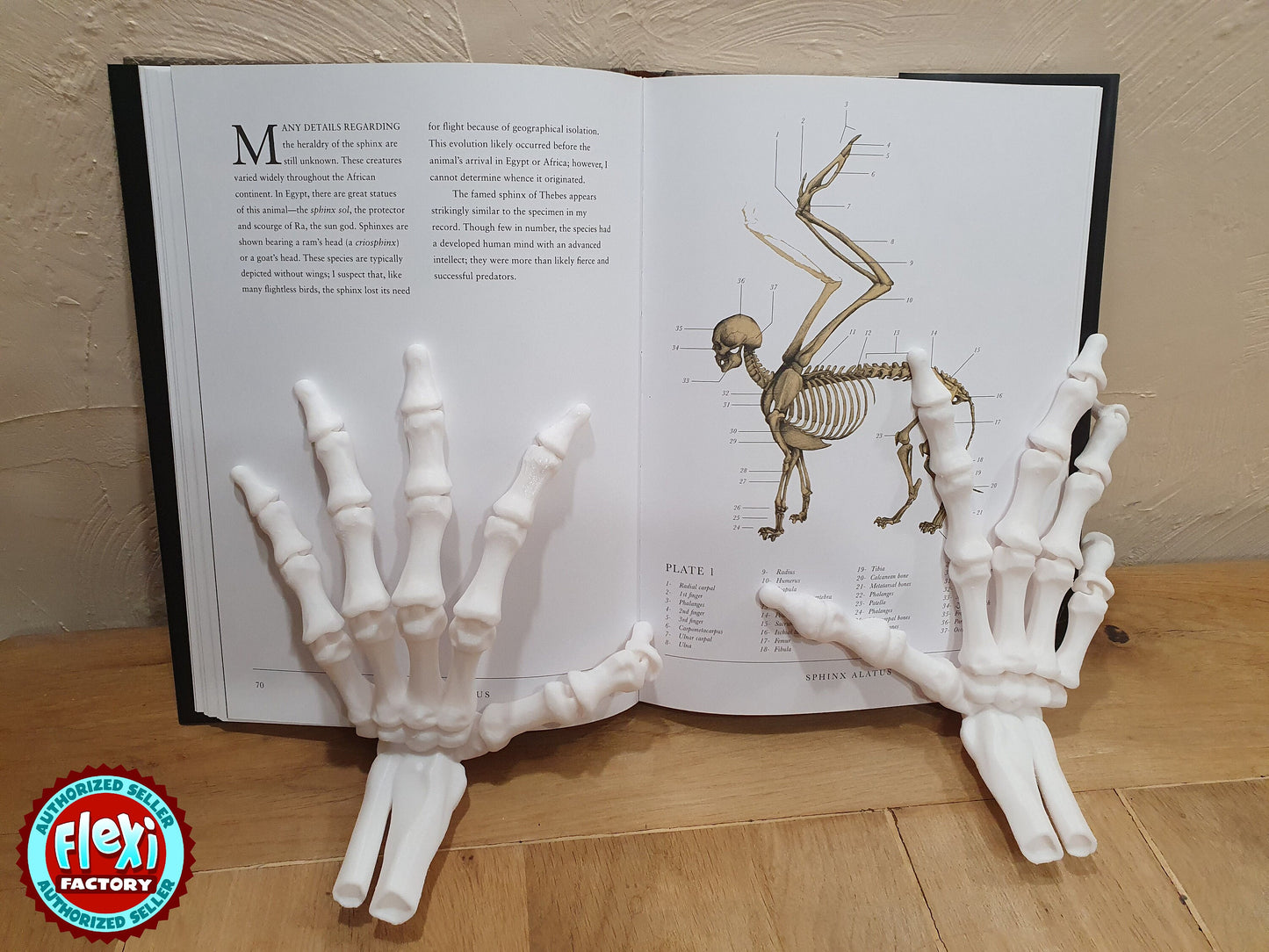 Flexi Skeleton Hand -  Articulated Flexible 3D Print