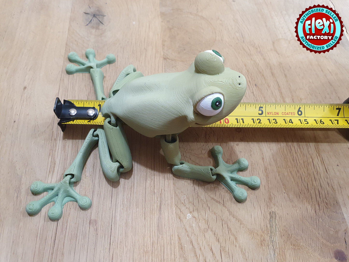 Cute Flexi Frog -  Articulated Flexible 3D Print. Professionally Hand painted finishing details